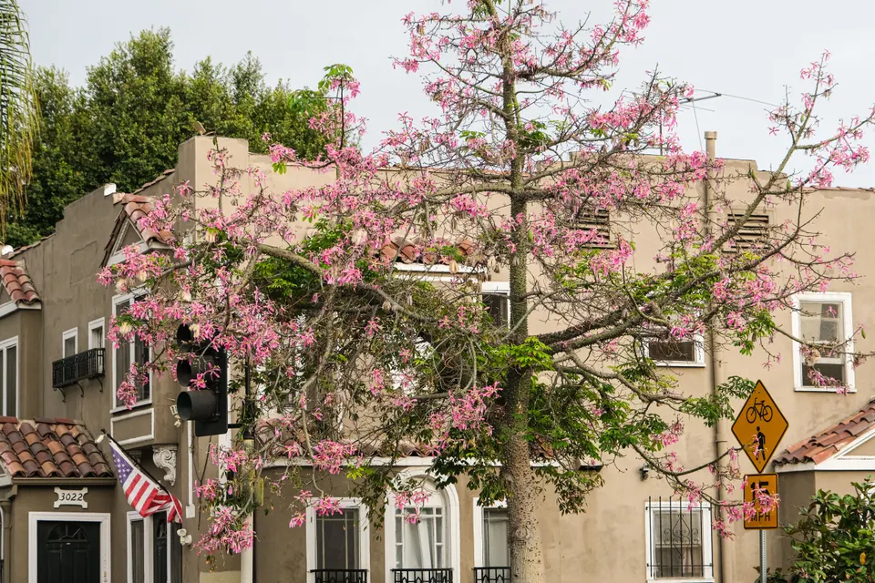 Rowland Heights — HVAC service